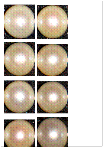 文本框:                     Pearl samples no. 1-10


